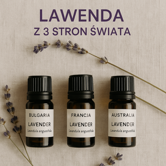 Lawenda z 3 stron Świata
