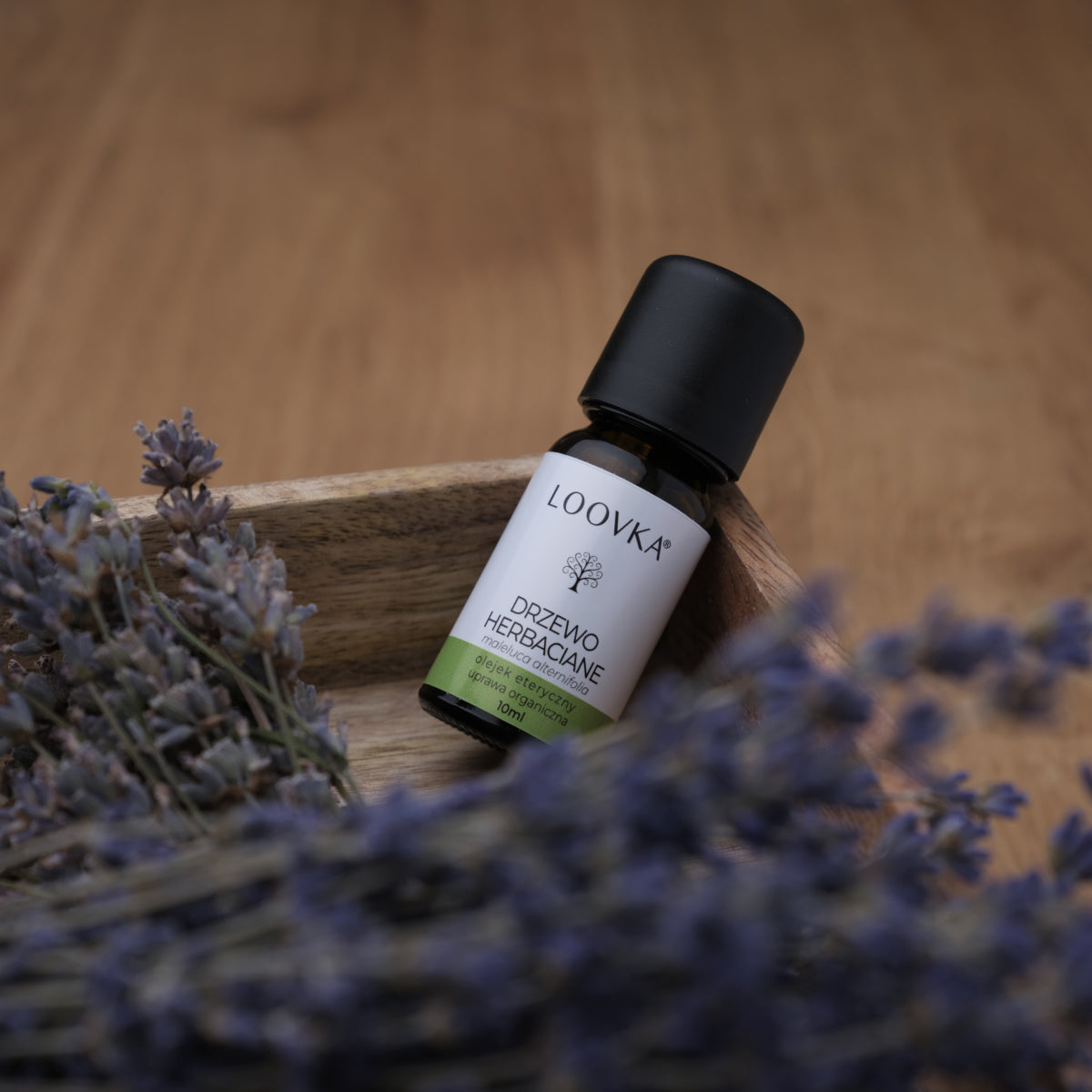 Olejek Drzewo herbaciane - uprawa organiczna