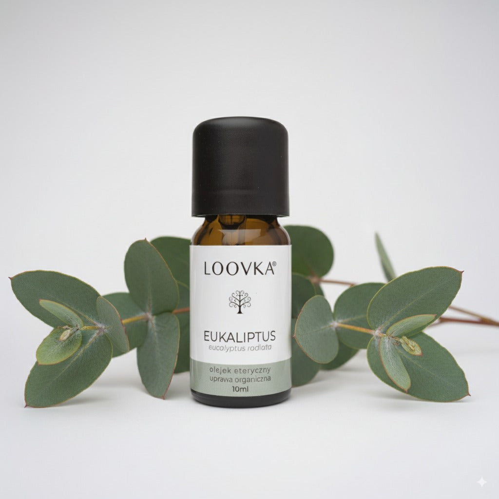 Olejek Eukaliptus radiata - uprawa organiczna 10ml