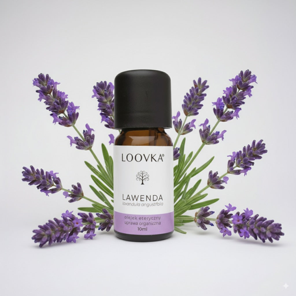 Olejek Lawenda lekarska z Bułgarii - uprawa organiczna 10ml