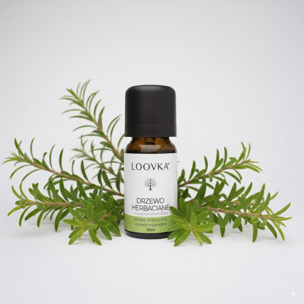 Olejek Drzewo herbaciane - uprawa organiczna 10ml