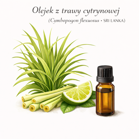 Olejek Trawa cytrynowa - uprawa organiczna
