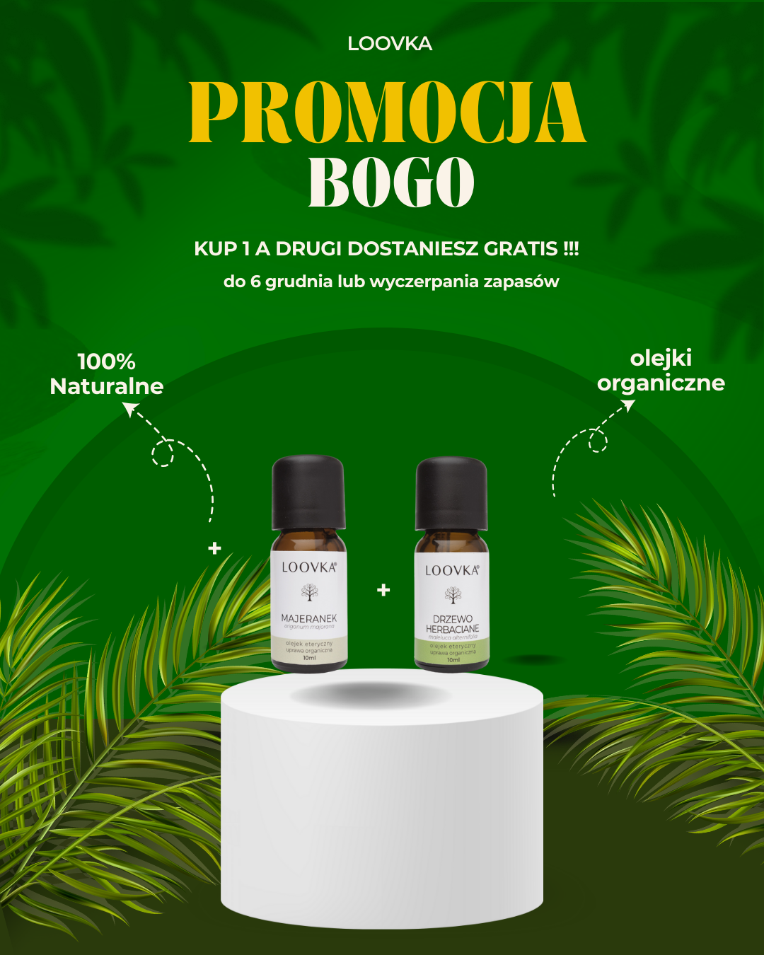 BOGO Majeranek + Drzewo herbaciane