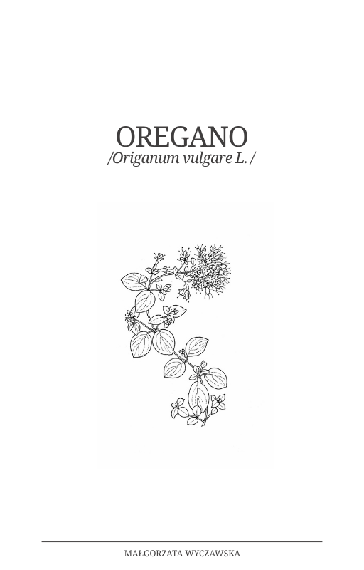 Oregano Przewodnik PDF