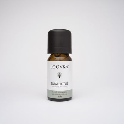 Olejek Eukaliptus radiata - uprawa organiczna