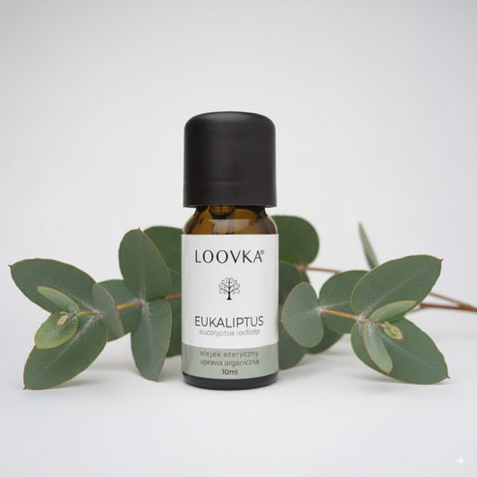 Olejek Eukaliptus radiata - uprawa organiczna 10ml