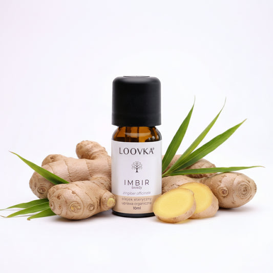 Olejek Imbir świeży - uprawa organiczna 10ml