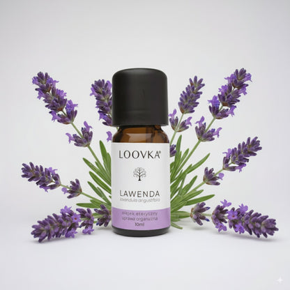 Olejek Lawenda lekarska z Bułgarii - uprawa organiczna 10ml