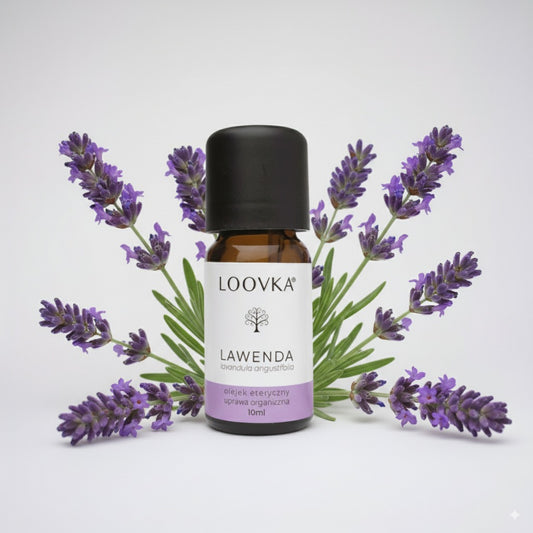 Olejek Lawenda lekarska z Bułgarii - uprawa organiczna 10ml